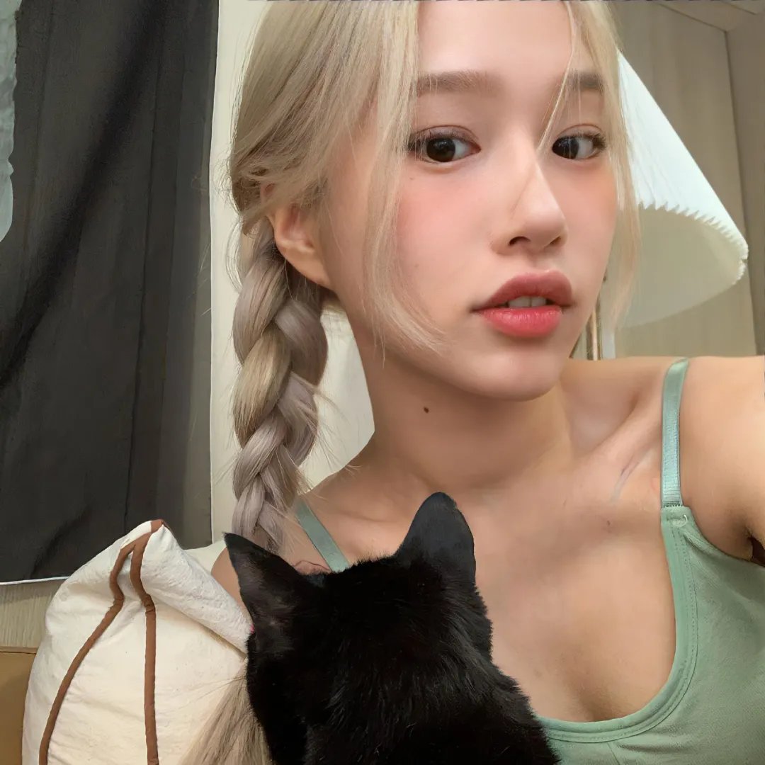 犬之力